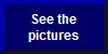 Pictures 